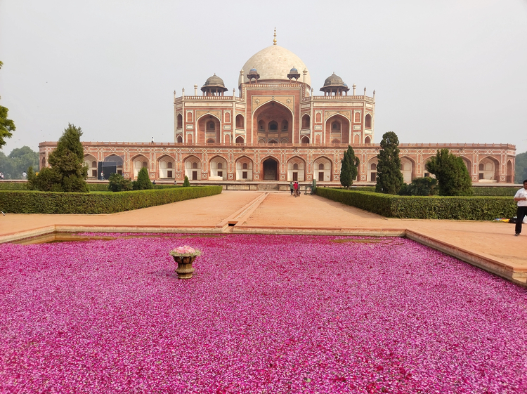 Cover media image