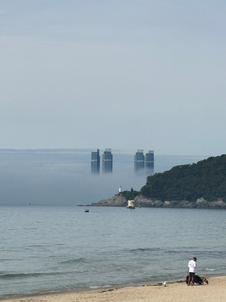 Cover media image