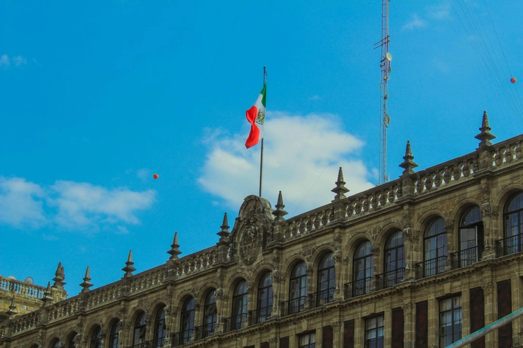 Complete Mexico City: Full-Day Walking Tour Through the Neighbourhoods