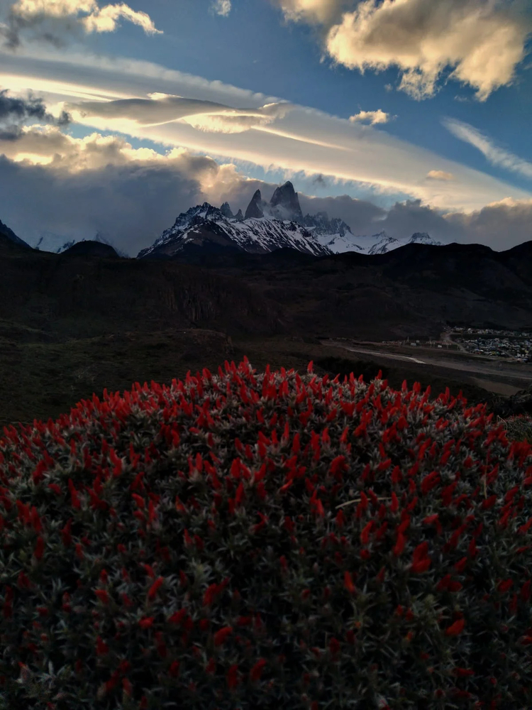 Cover media image