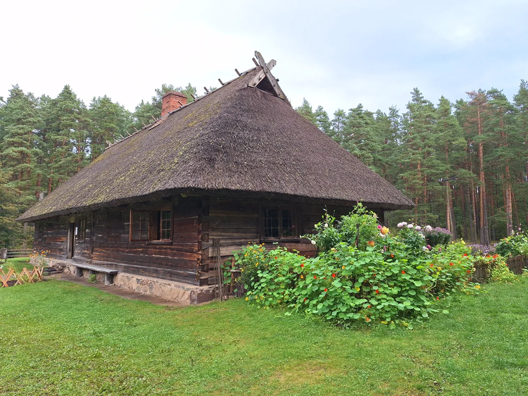 Cover media image