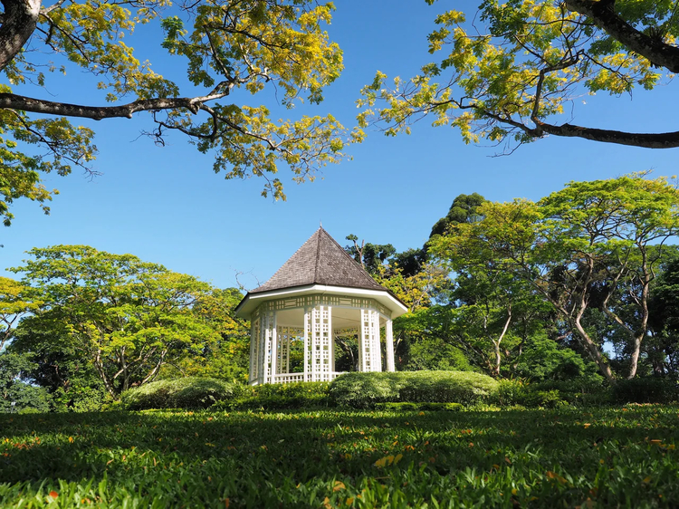 Cover media image