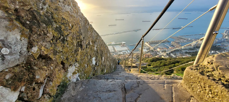 Cover media image