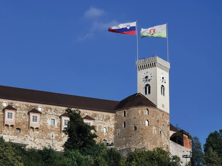 Cover media image