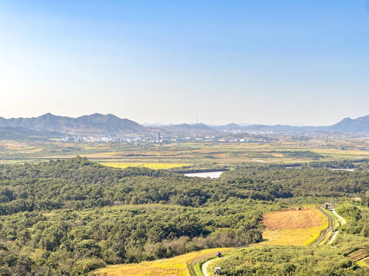 Classic DMZ Demilitarized Zone: Day Trip with Private Vehicle from Seoul