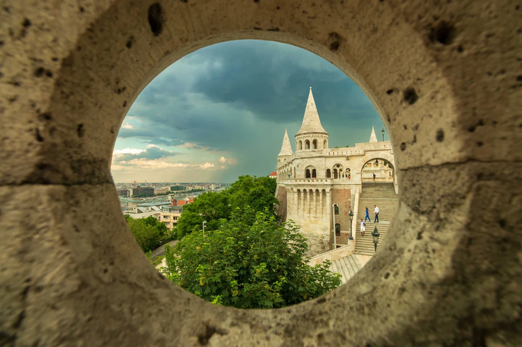 Cover media image