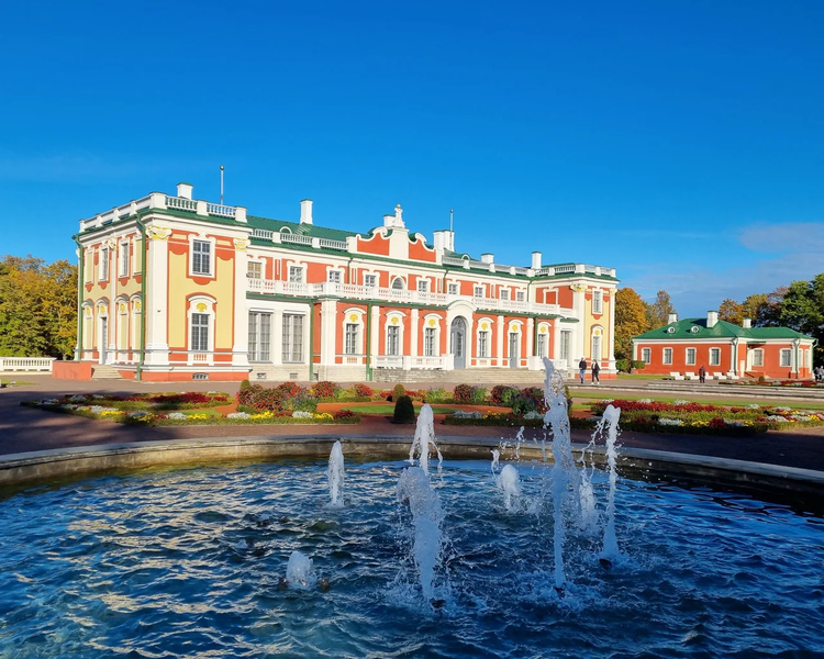 Cover media image