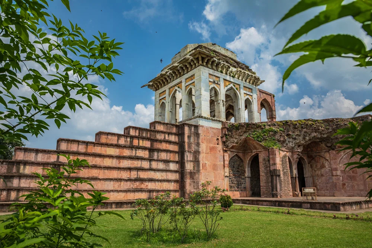 Cover media image