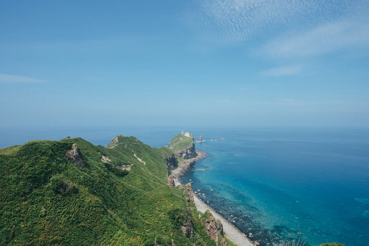 Cover media image
