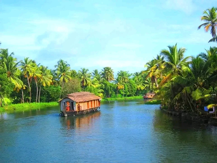 Cover media image