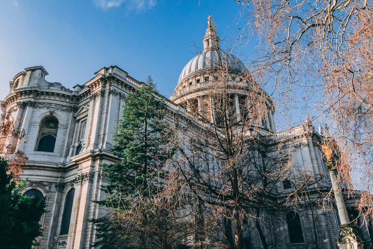 Iconic London: Half-Day Private Driving Tour with Panoramic Stops