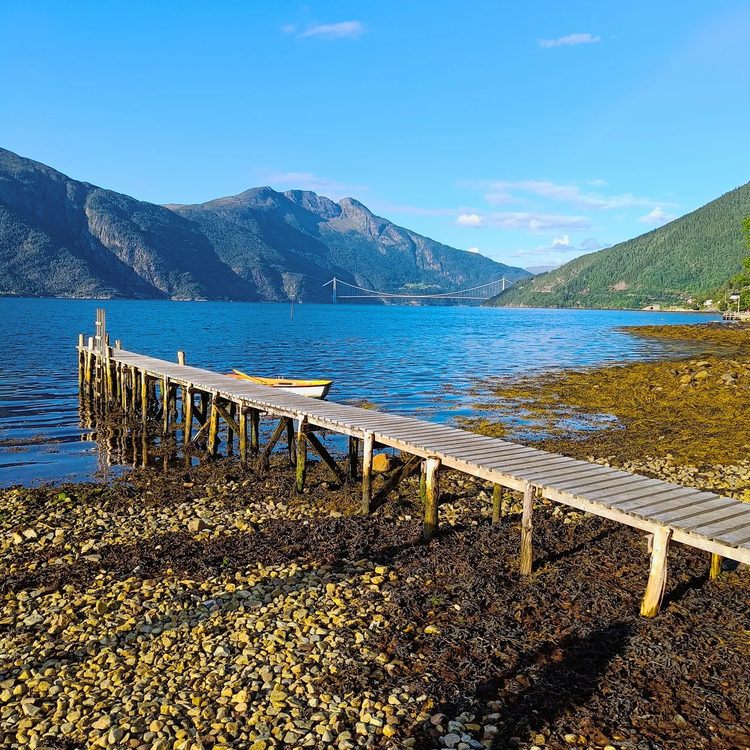 Cover media image