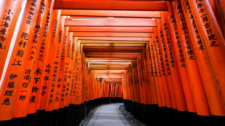 Ultimate Kyoto: Full-Day Private Driving Tour from Highlights to Hidden Layers