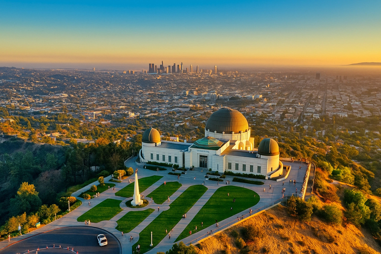 Cover media image