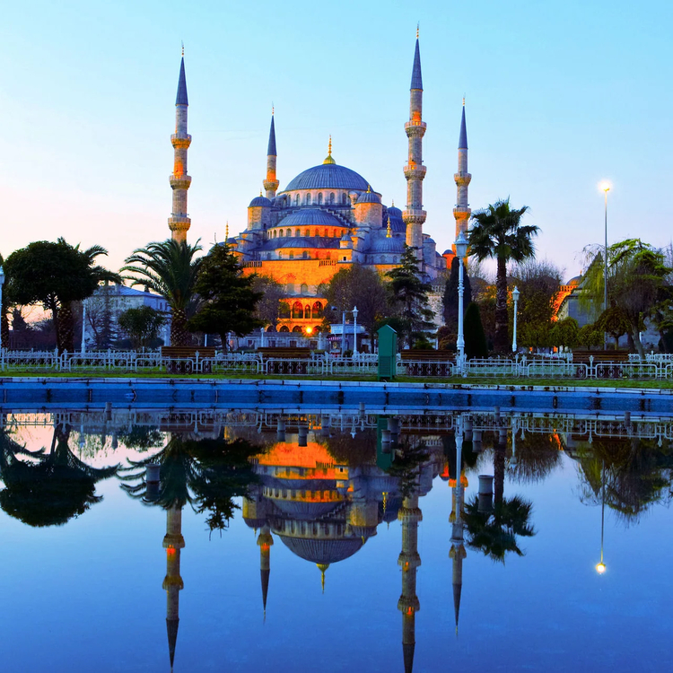 Cover media image