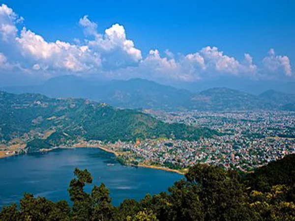 Cover media image
