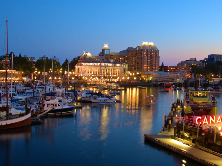 Cover media image