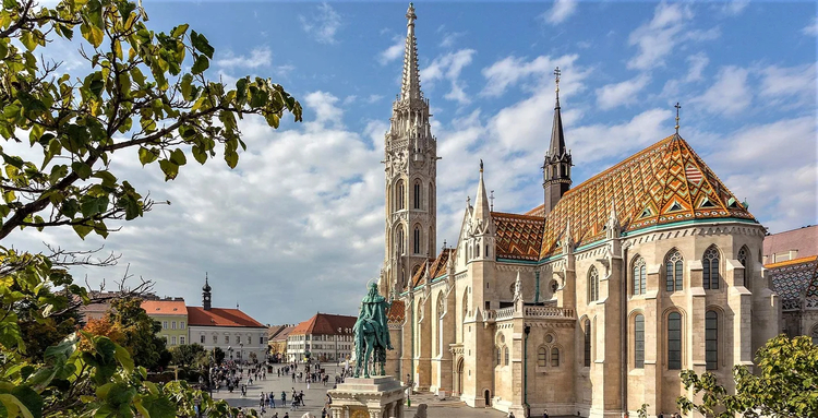 Cover media image