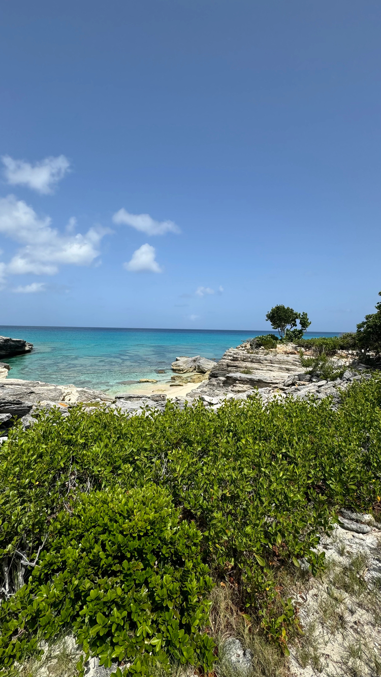 Cover media image
