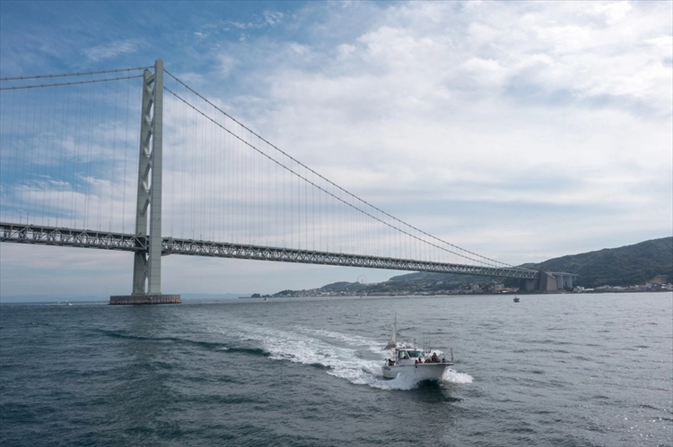 Cover media image