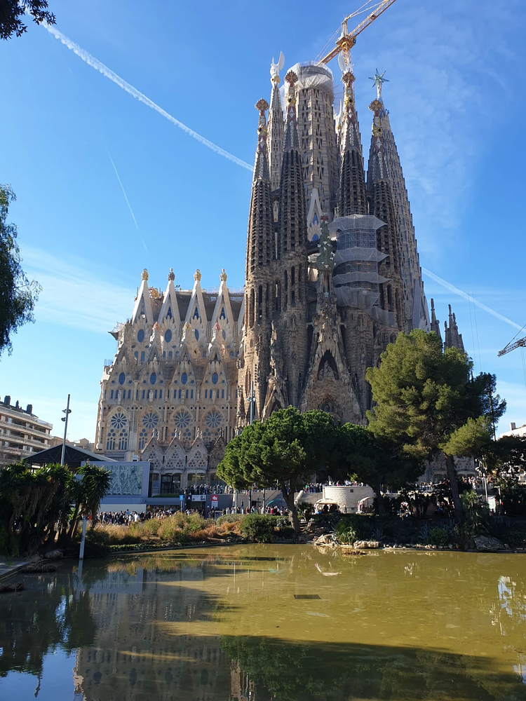 Cover media image