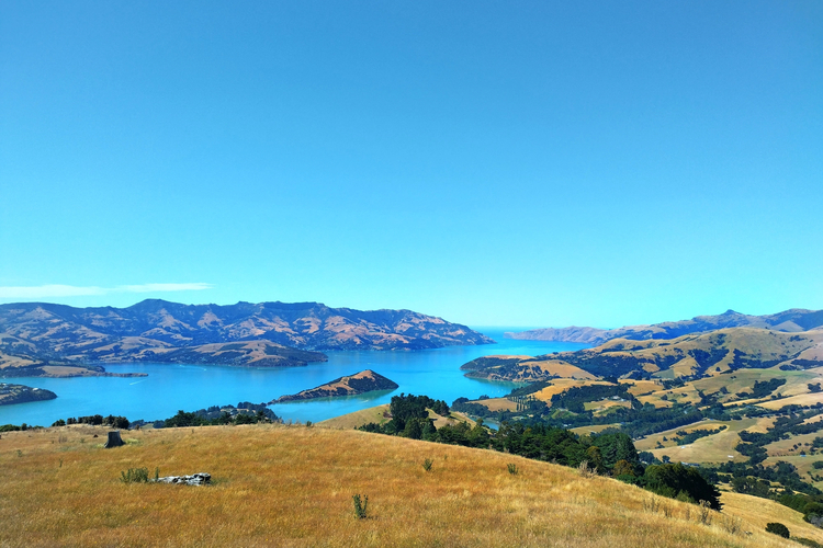 Cover media image