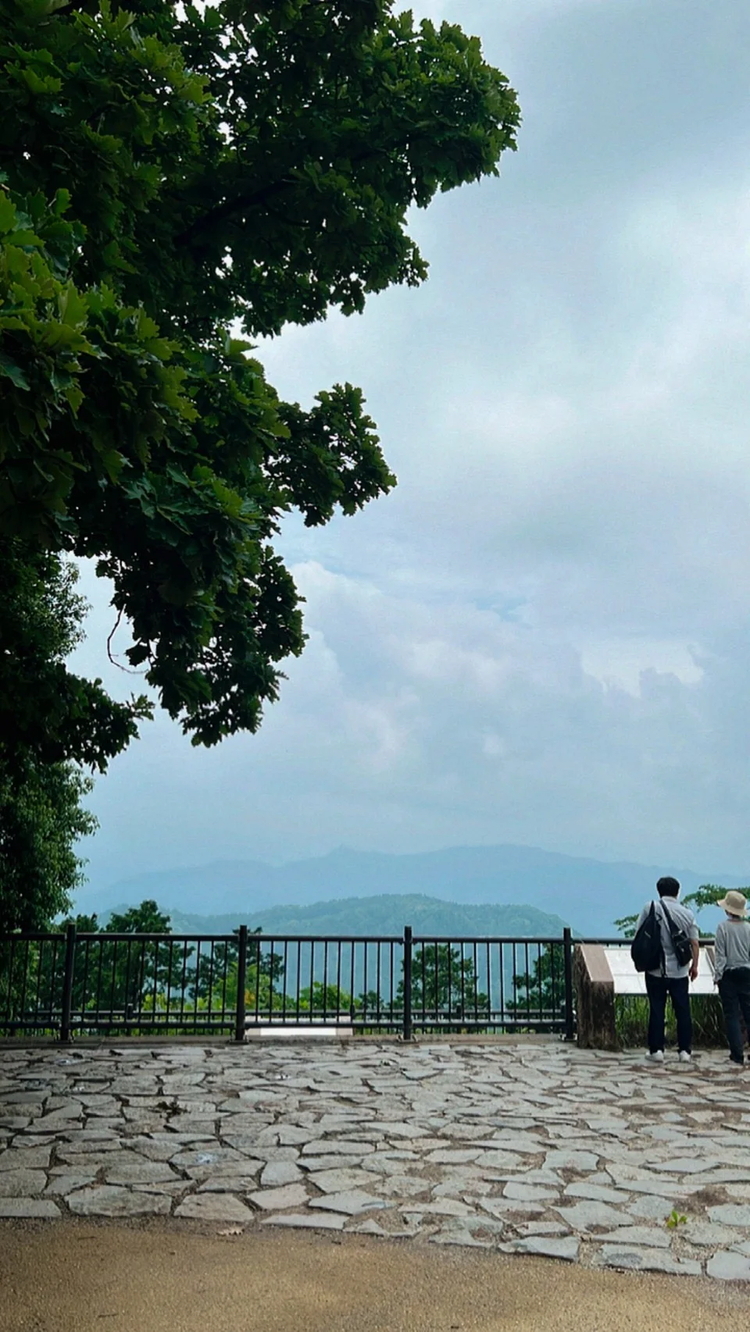 Cover media image