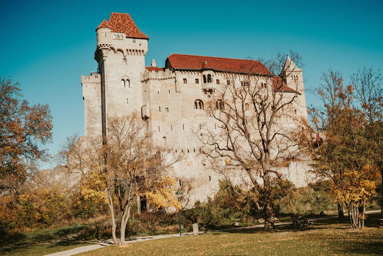 Cover media image