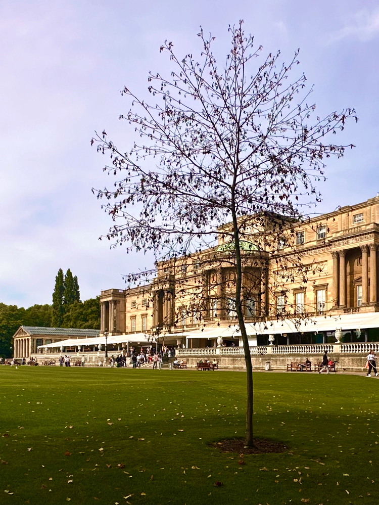 Cover media image