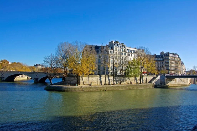 Cover media image