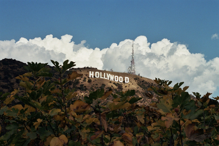 Cover media image