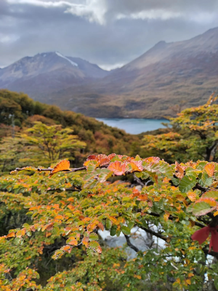 Cover media image