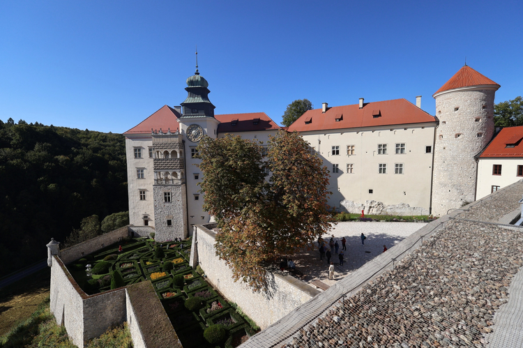Cover media image