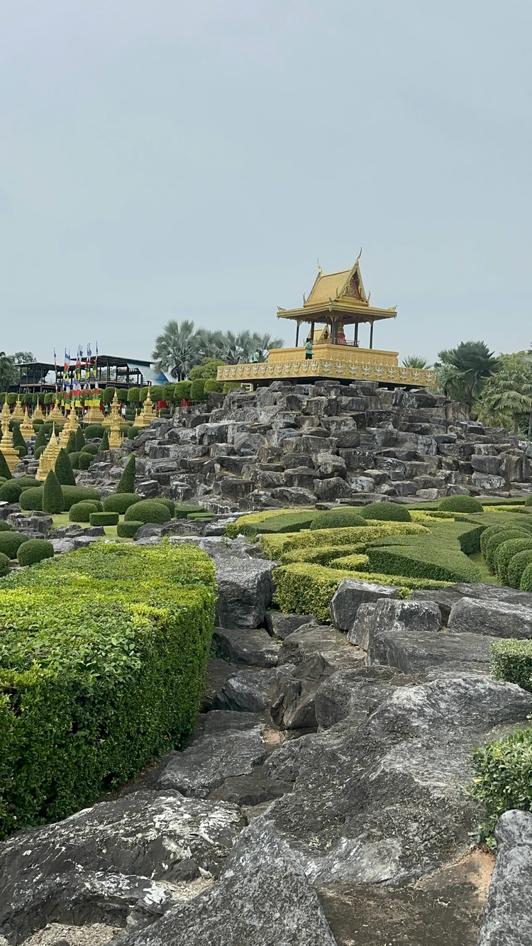 Cover media image