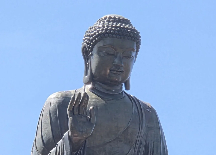 Cover media image