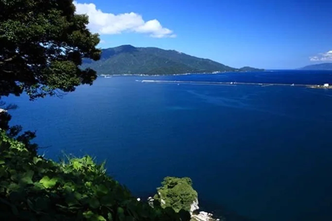 Cover media image