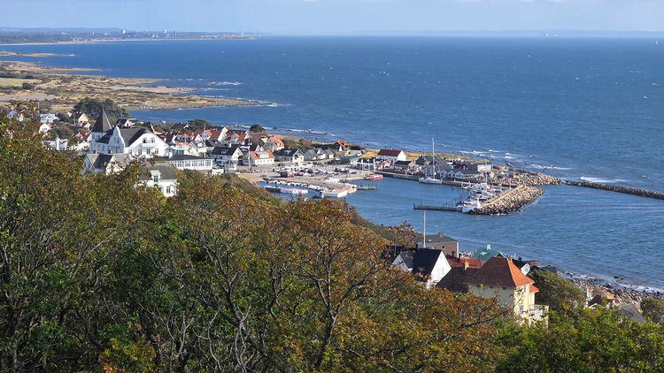 Cover media image