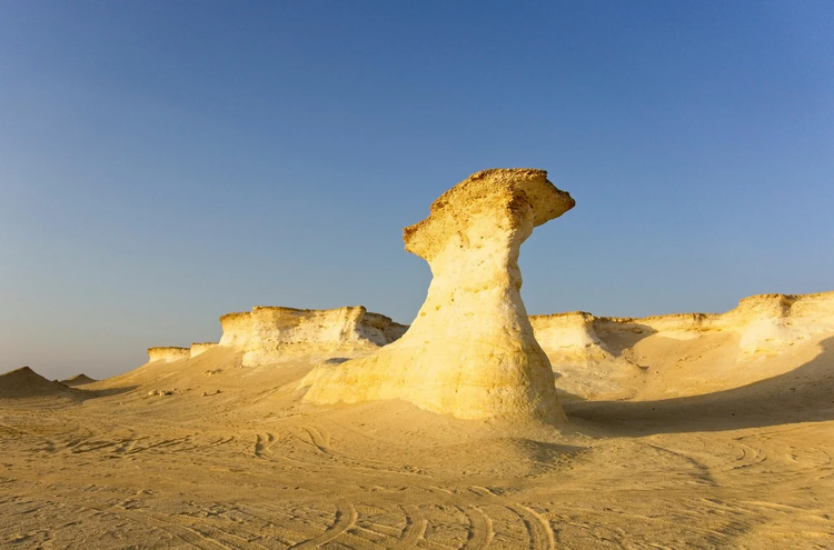 Cover media image