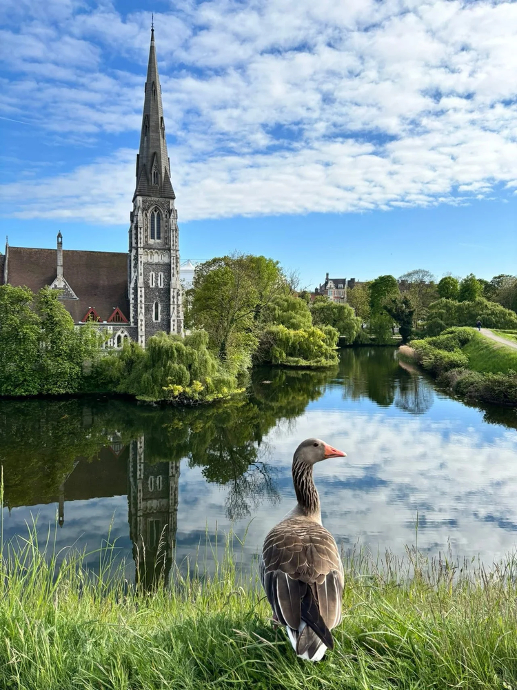 Cover media image