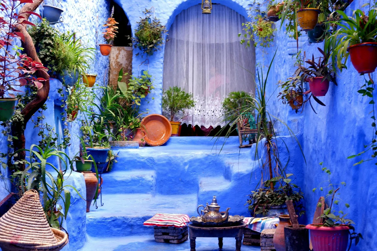 Cover media image