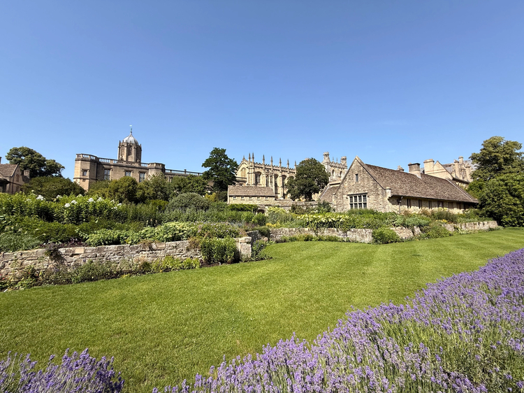 Cover media image