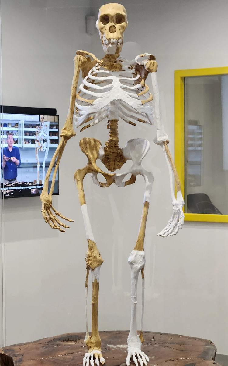 Cover media image