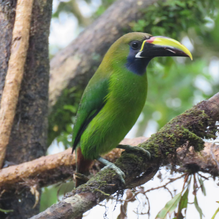Cover media image
