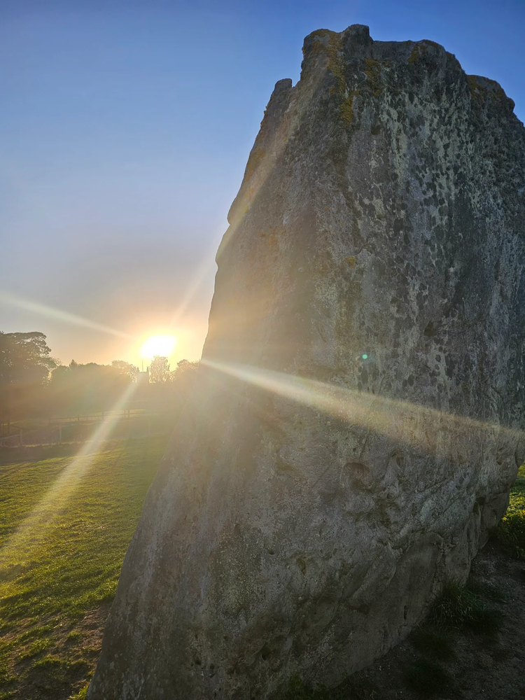 Cover media image