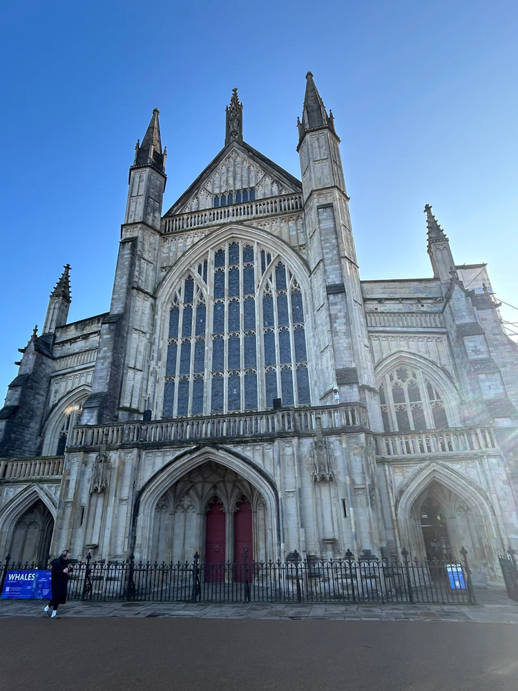 Cover media image