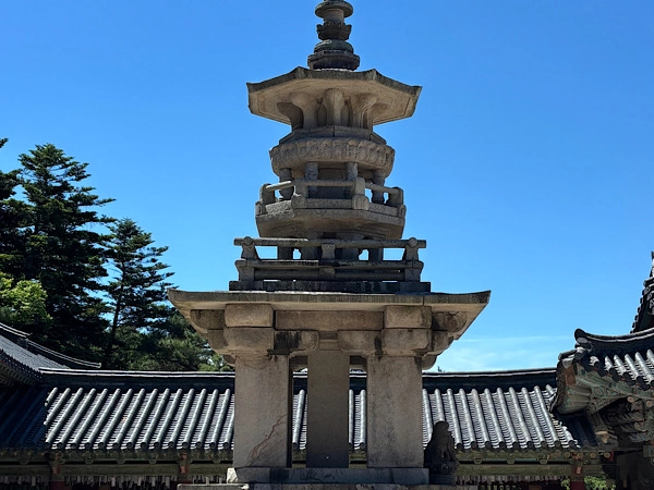 Cover media image