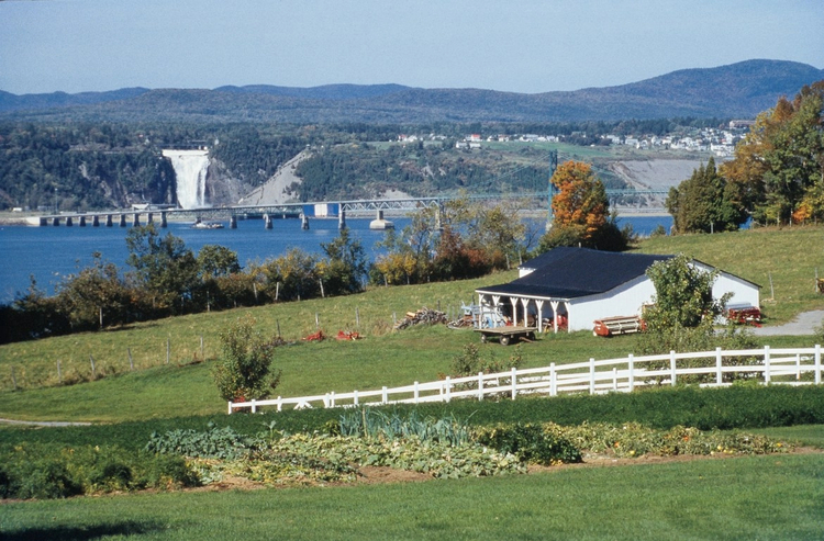 Cover media image
