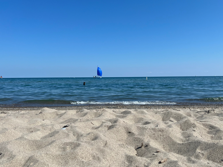 Cover media image