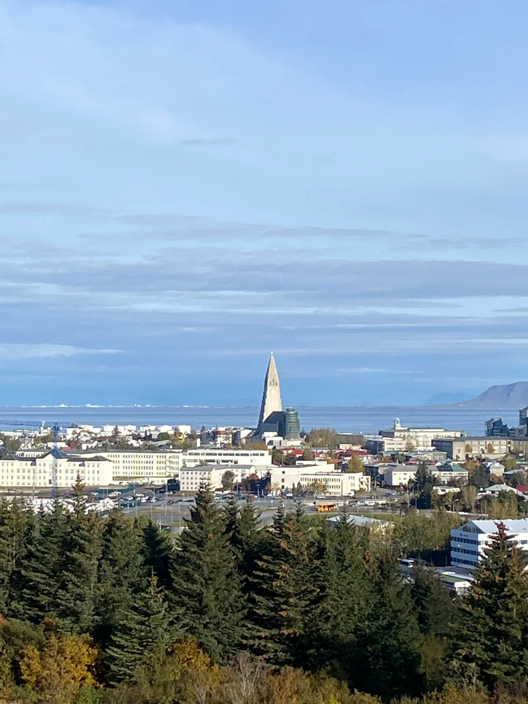 Cover media image