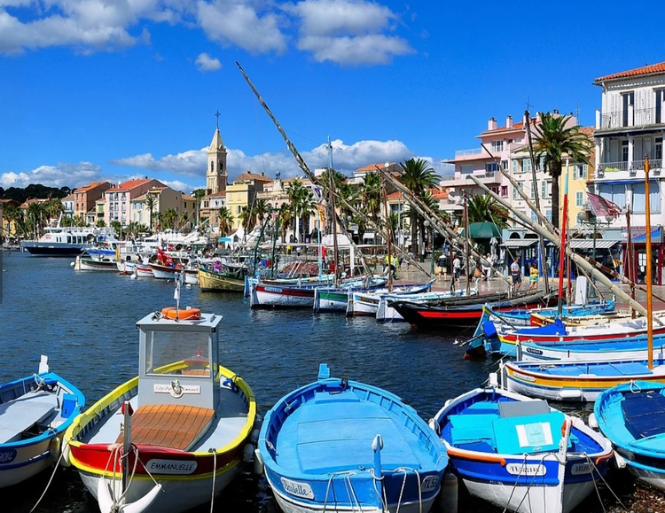 Cover media image